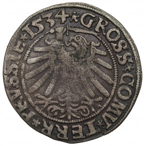 Zygmunt I Stary, Grosz dla ziem pruskich 1534, Toruń - PRVSSIE/PRVSSIE