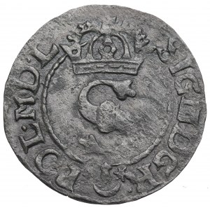 Sigismund III. Wasa, Shelrogue 1623, Bromberg (Bydgoszcz)