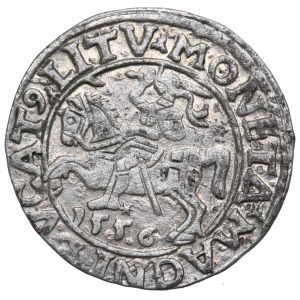 Žigmund II August, polgroš 1556, Vilnius - LI/LITV
