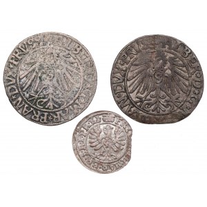 Kniežacie Prusko, sada mincí