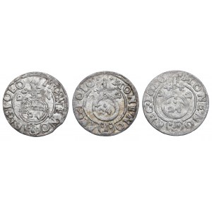 Sigismund III Vasa, Set of half-tracks 1622-24