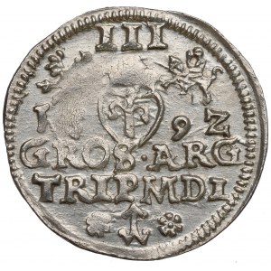 Žigmund III Vasa, Trojka 1592, Vilnius