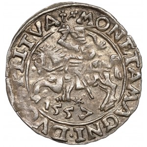 Zygmunt II August, Półgrosz 1557, Wilno - stempel Behma