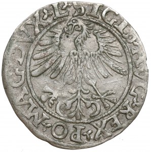 Žigmund II August, polgroš 1561, Vilnius - L/LITV