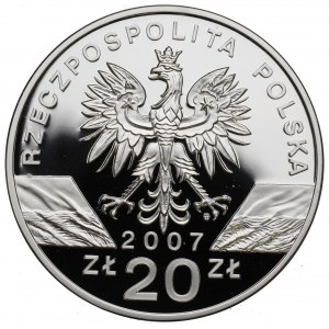 III RP, 20 PLN 2007 - Sivá pečať