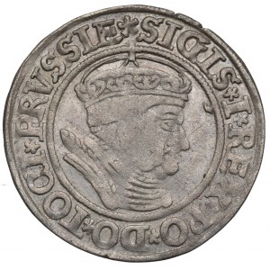Zygmunt I Stary, Grosz dla ziem pruskich 1535, Toruń - PRVSSIE/PRVSSIE