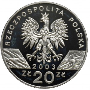 III RP, 20 złotych 2003 Węgorz europejski