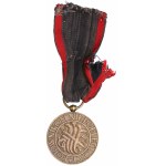 II Republic of Poland, Medal of Independence