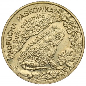 III RP, 2 Gold 1998 Kröte Paskówka