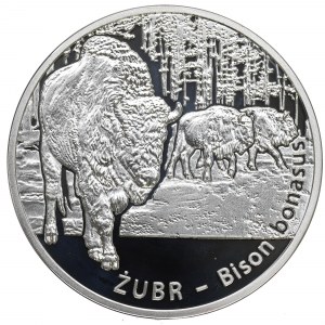 III RP, 20 złotych 2013 Żubr