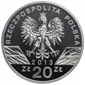 III RP, 20 PLN 2013 Żubr