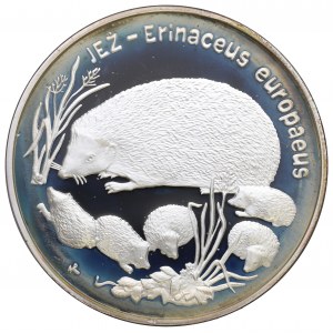 Terza Repubblica, 20 PLN 1996 - Riccio