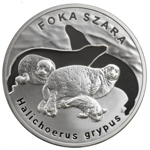 III RP, 20 złotych 2007 - Foka Szara