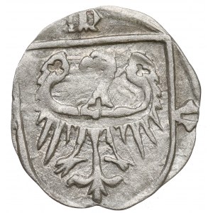 Sliezsko, vojvodstvo Olešnica, Konrád VIII Mladší, radnica 1430-1440, Olešnica