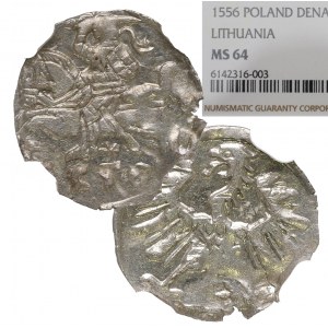 Zygmunt II August, Denar 1556, Wilno - NGC MS64