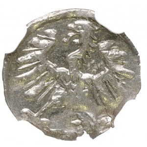 Zygmunt II August, Denar 1556, Wilno - NGC MS64