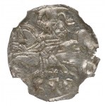 Zikmund II Augustus, denár 1556, Vilnius - NGC MS64