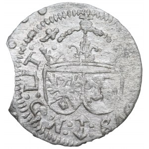Žigmund III Vasa, Shelrogue 1616, Vilnius