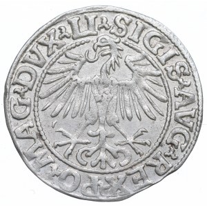 Zygmunt II August, Półgrosz 1548, Wilno - LI/LITVA