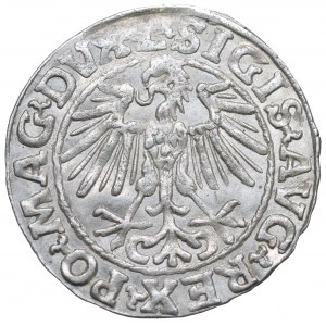 Sigismund II Augustus, Halfgroat 1548, Vilnius