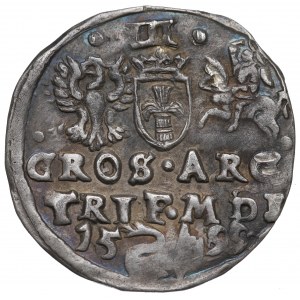 Zygmunt III Waza, Trojak 1599, Wilno - rzadkość ŁABĘDŹ