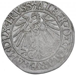 Prusy Książęce, Albrecht Hohenzollern, Grosz 1544, Królewiec - odwrócone N w BRAN