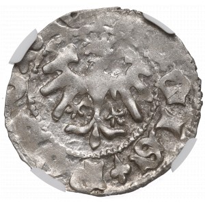 Ladislaus II Jagiello, Halbpfennig ohne Datum, Krakau, Buchstabe O - NGC MS62