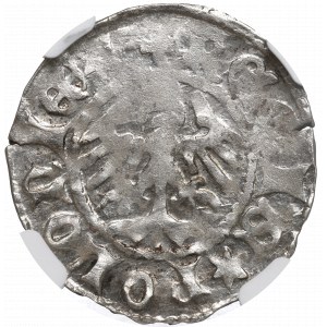 Ladislaus II Jagiello, Halbpfennig ohne Datum, Krakau, Buchstaben AS - NGC MS63