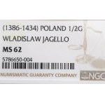 Władysław II Jagiełło, Półgrosz bez daty, Kraków, litera F‡ - NGC MS62