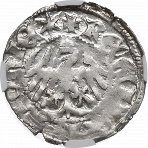 Ladislaus II Jagiello, halber Pfennig ohne Datum, Krakau, Buchstaben SA - NGC MS62