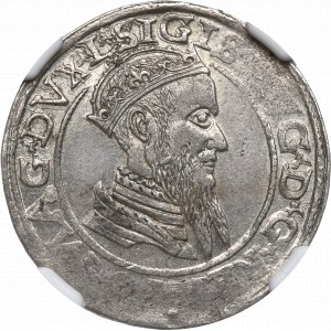 Zikmund II Augustus, čtyřnásobek 1566, Vilnius - L/LIT - NGC MS61