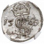 Zikmund II Augustus, dvou trpaslík 1569, Vilnius - NGC MS63