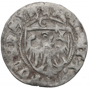 Kasimir IV. Jagiellonisch, Schellack ohne Datum, Torun - selten