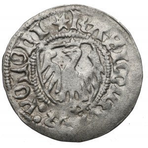 Casimir IV Jagellon, Schilling without date, Danzig