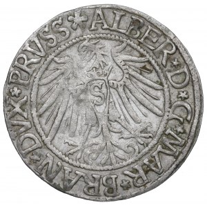 Knížecí Prusko, Albreht Hohenzollern, Grosz 1539, Königsberg