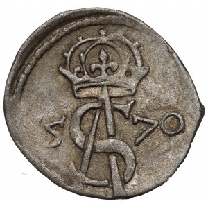 Sigismund II Augustus, 2 denarii 1570, Vilnius