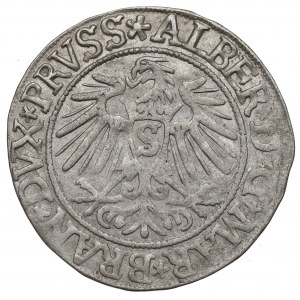 Prusy Książęce, Albrecht Hohenzollern, Grosz 1537, Królewiec