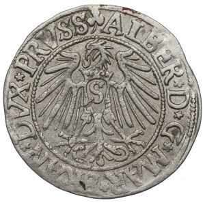 Kniežacie Prusko, Albrecht Hohenzollern, Grosz 1542, Königsberg