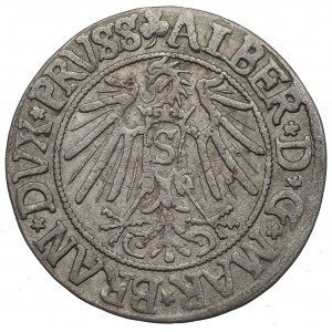 Germany, Preussen, Albrecht Hohenzollern, Groschen 1541, Konigsberg