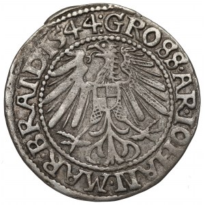 Brandenburg March, Penny 1544, Krosno