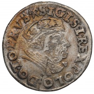 Sigismund I. der Alte, Trojak 1539, Gdańsk