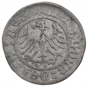 Alexander the Jagellon, Halfgroat without date, Cracow