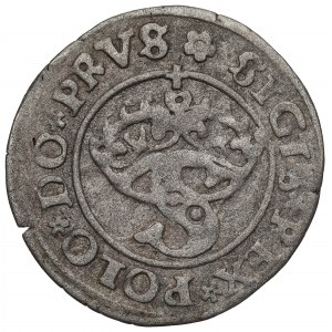 Zygmunt I Stary, Szeląg dla ziem pruskich 1529, Toruń - PRVS