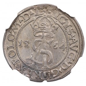 Sigismund II Augustus, 3 groschen 1564, Vilnius - L/L NGC AU Details