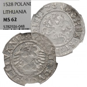 Sigismund I. der Alte, Halber Pfennig 1528, Vilnius - Seltenheit MONEA NGC MS62
