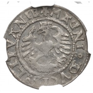 Žigmund I. Starý, polgroš 1528, Vilnius - rarita MONEA NGC MS62