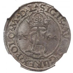 Zygmunt II August, Trojak 1564, Wilno - L/L NGC MS62