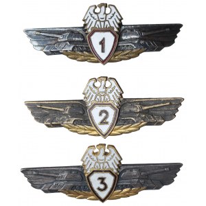 People's Republic of Poland, Tanker badge all 3 classes