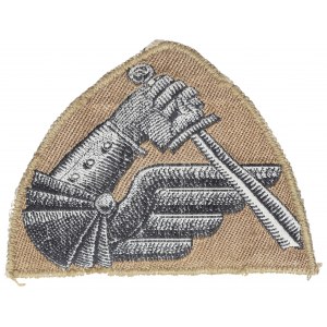 PSZnZ, Odznak obrněných sil