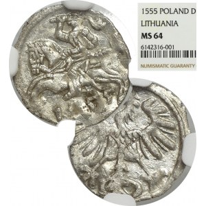 Sigismund II Augustus, Denar 1555, Vilnius - NGC MS64